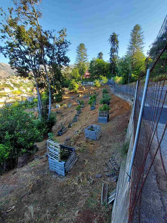 Terreno com 8.840 M2, na freguesia do Monte8