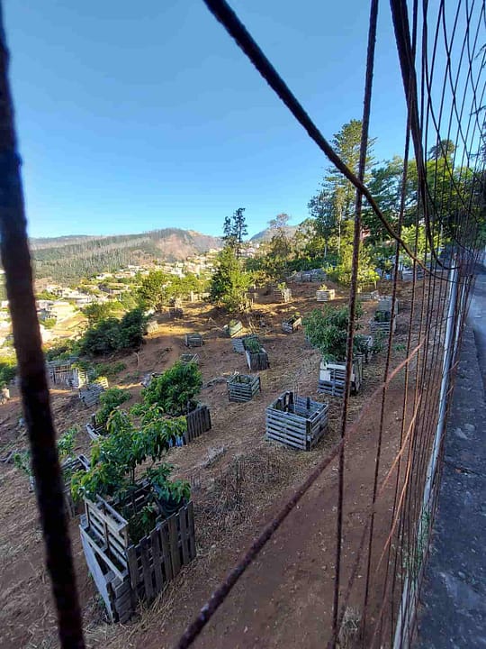 Terreno com 8.840 M2, na freguesia do Monte10